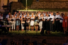 Serenade 2015 – Bild 28