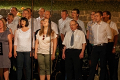 Serenade 2015 – Bild 43